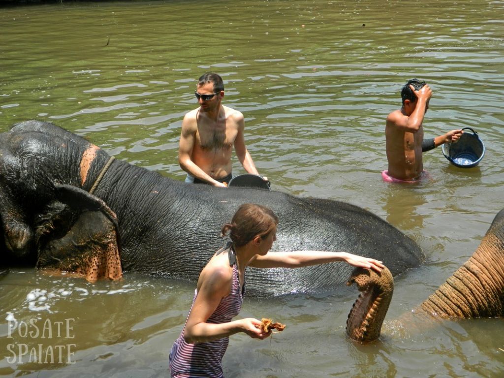 Thailand 2015-05-05 00632