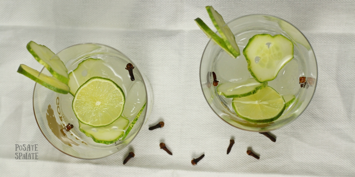 gin_tonic_posate_spaiate3