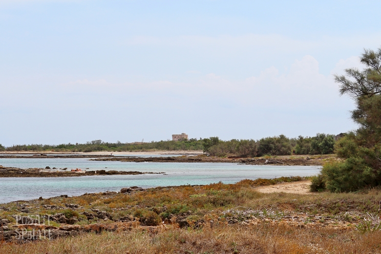 Puglia Torre Guaceto - Posate-Spaiate