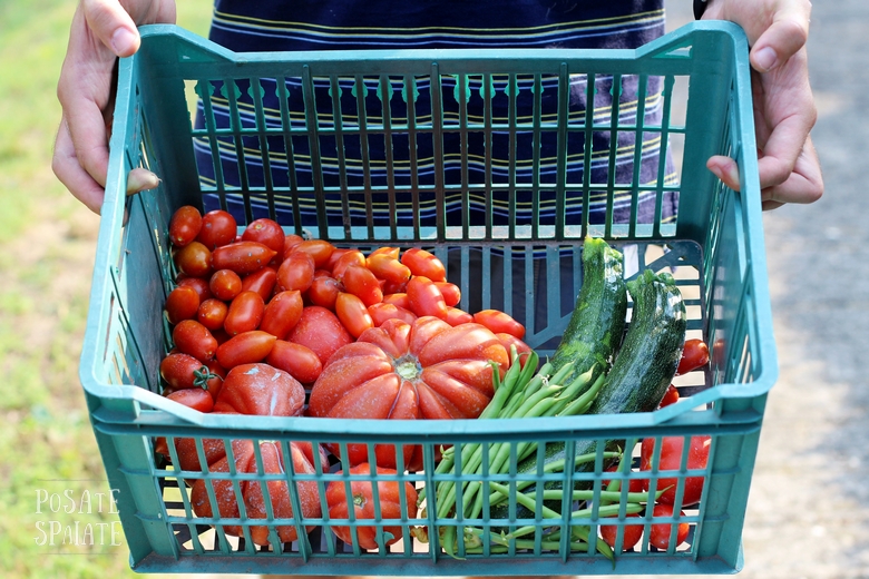 Pomodori dell'orto_Posate Spaiate
