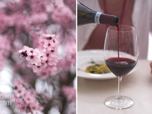 La trattoria “i Bologna” – Rocchetta Tanaro.