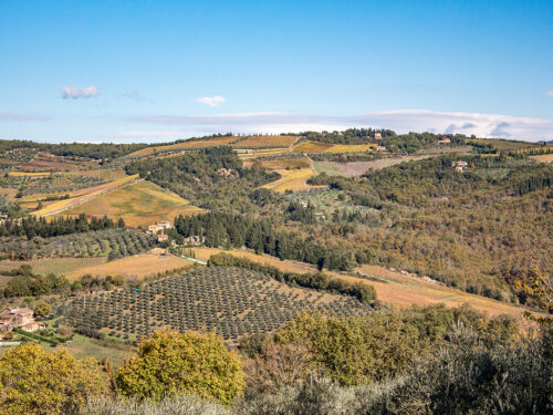 Il Chianti Classico, storia e sapori di un territorio