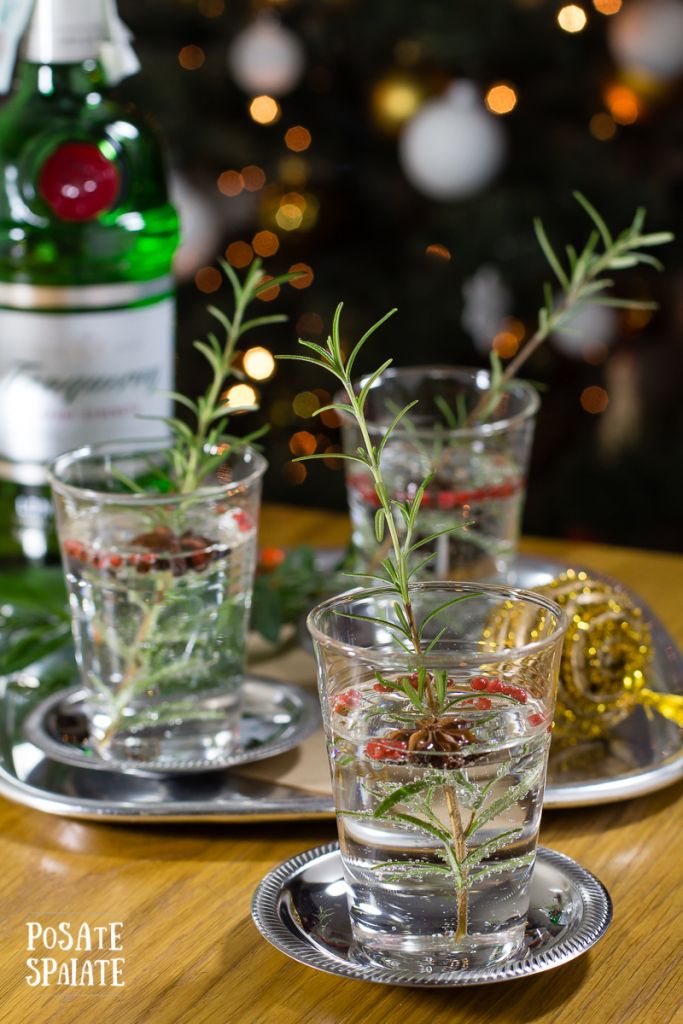 Gin tonic di Natale_Posate Spaiate