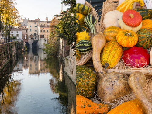 Mantova la città della cultura, delle tradizioni, e delle bellezze a cielo aperto.