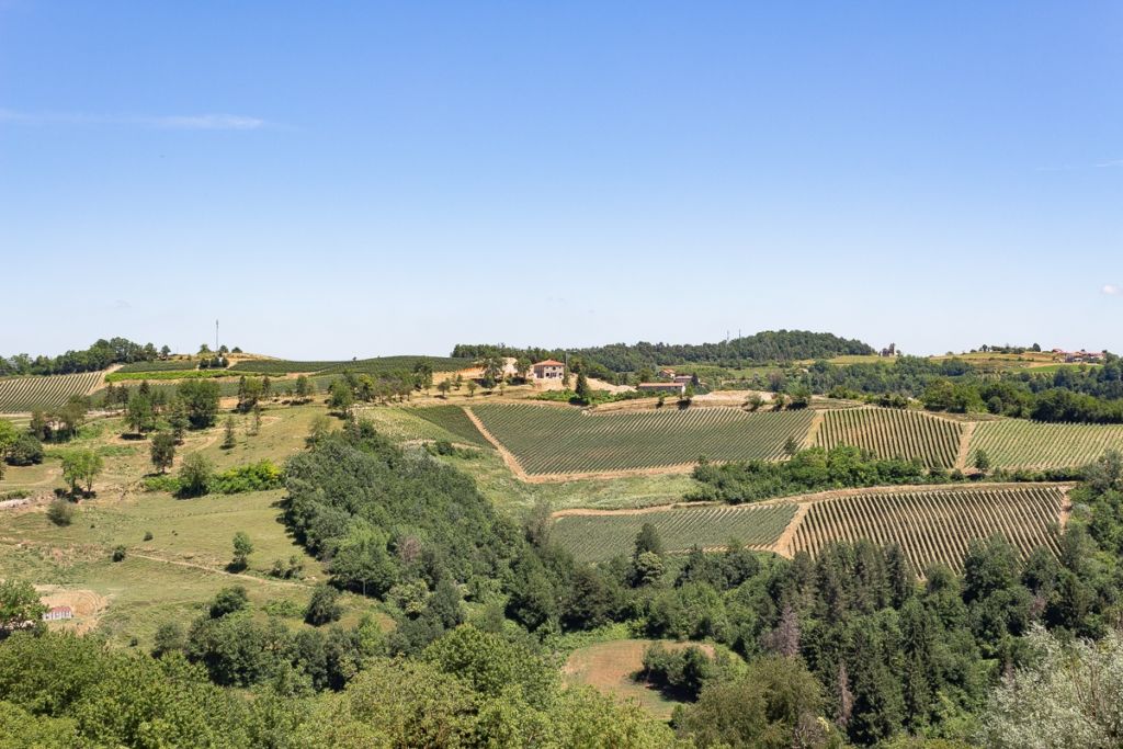 Vista sulle colline a Bossolasco