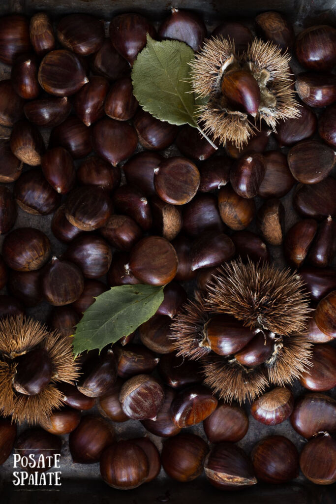 Castagne_Posate Spaiate